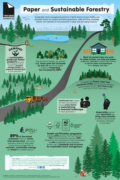 8 Facts about Paper and Sustainable Forestry [Infographic]