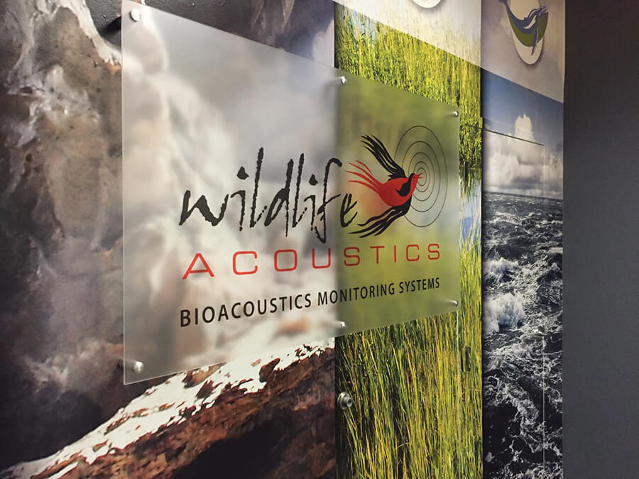 Wildlife Acoustics wall graphics