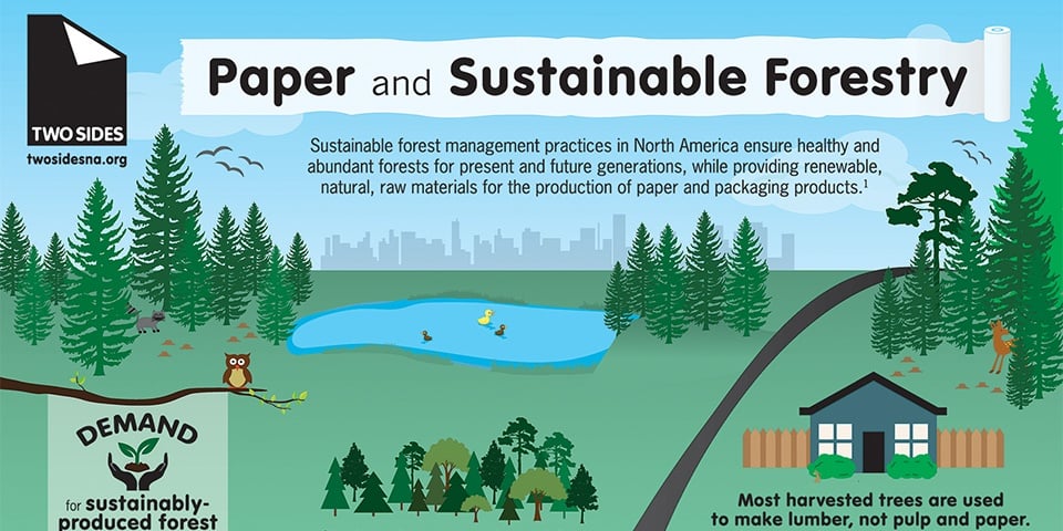 TwoSides-Sustainability-Infographic.jpg